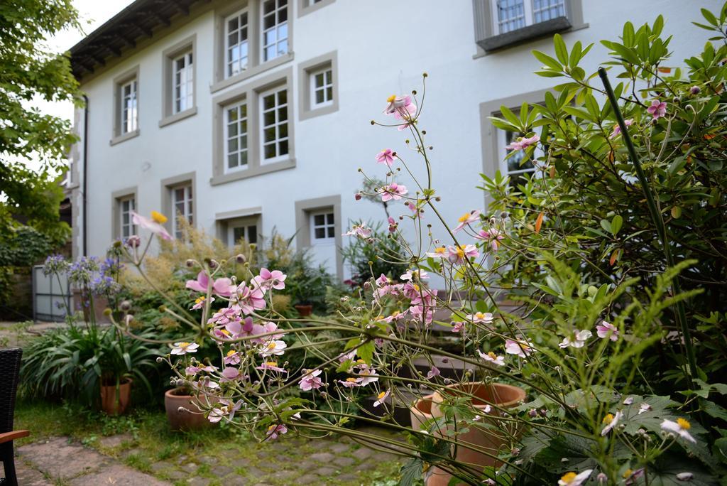 Bed and Breakfast Alte Apotheke Bed & Breakfast Karlsbad Zewnętrze zdjęcie